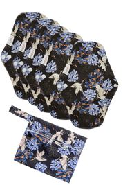 Eco Pad Regular Pack (5 Regular Eco Pads, wet bag) - Feminine Pads & Protectors